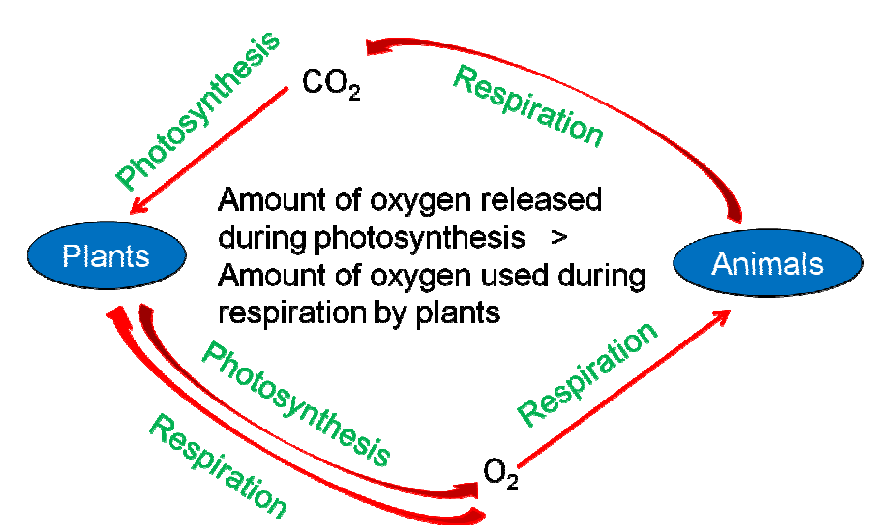NCERT Solutions Class 6 Science Chapter 15 Air Around Us